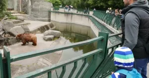 Софийският зоопарк започва протестите в събота заради ниските заплати