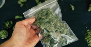 Прокуратурата ще поиска арест за четирима по дело за марихуана