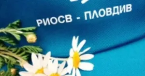 Екоинспекцията в Пловдив състави 8 акта след септемврийски проверки