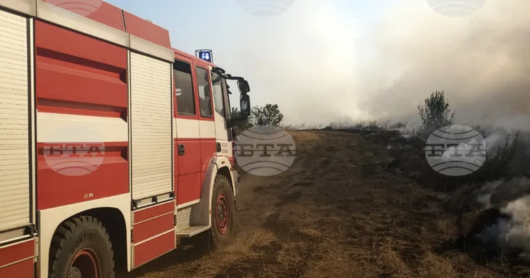 Полицията свърза 79-годишен с пожара, обхванал 650 декара край Коларово Полицията свърза 79-годишен с пожара, обхванал 650 декара край Коларово