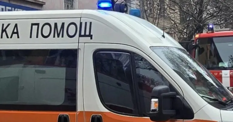 Шофьор пострада при сблъсък на пътя Летница – Каменец Шофьор пострада при сблъсък на пътя Летница – Каменец