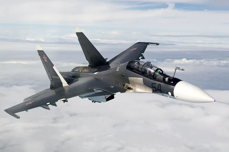 Екипажът на Су-30 катапултира при катастрофа в Калининградска област