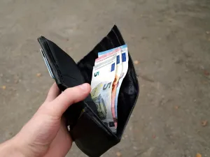 Медианният доход на домакинствата с млади в България е 8680 евро