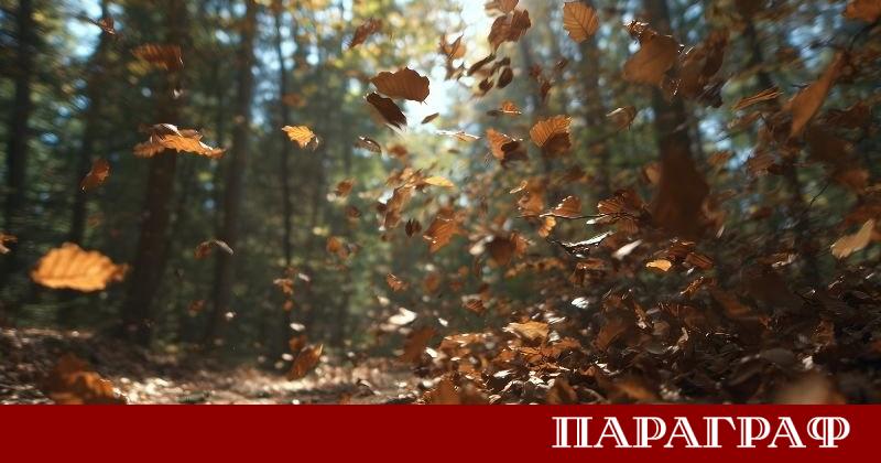 Динамичната метеорологична обстановка над страната се запазва като Националният институт