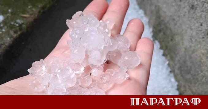 Управителният съвет на Държавен фонд Земеделие ДФЗ определи интензитета за