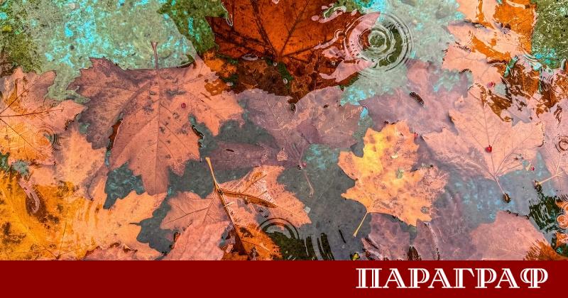 Обилни валежи и силен вятър ще властват в България до