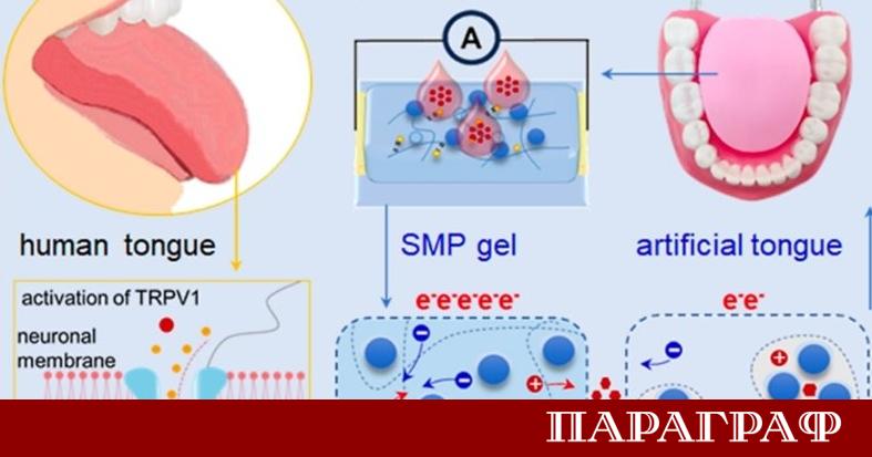 Китайски учени разработиха революционен изкуствен език Той може прецизно да