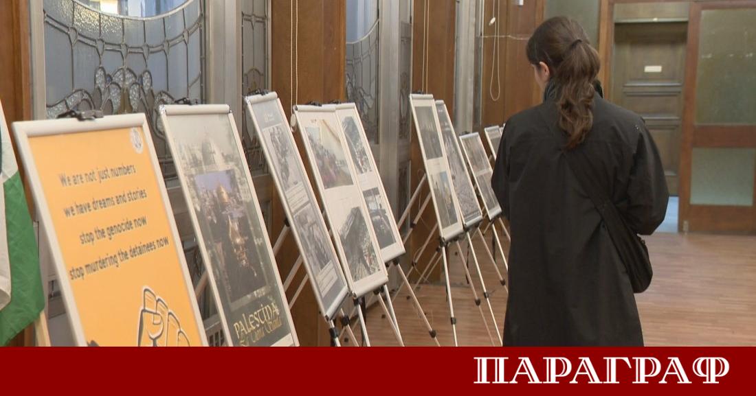 На 29 ноември светът отбелязва Международния ден за солидарност с