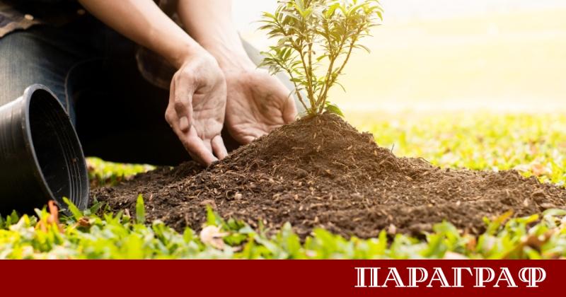 Град Българово става сцена на мащабна доброволческа акция по залесяване