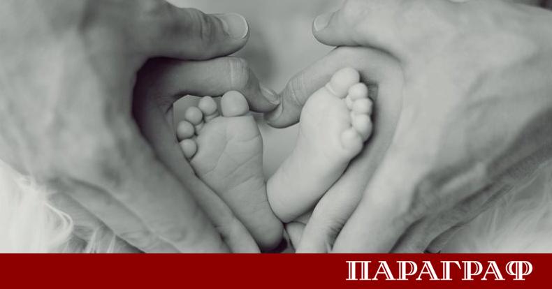 Инфлуенсъри набират милиони последователи и приходи като активно промотират диви