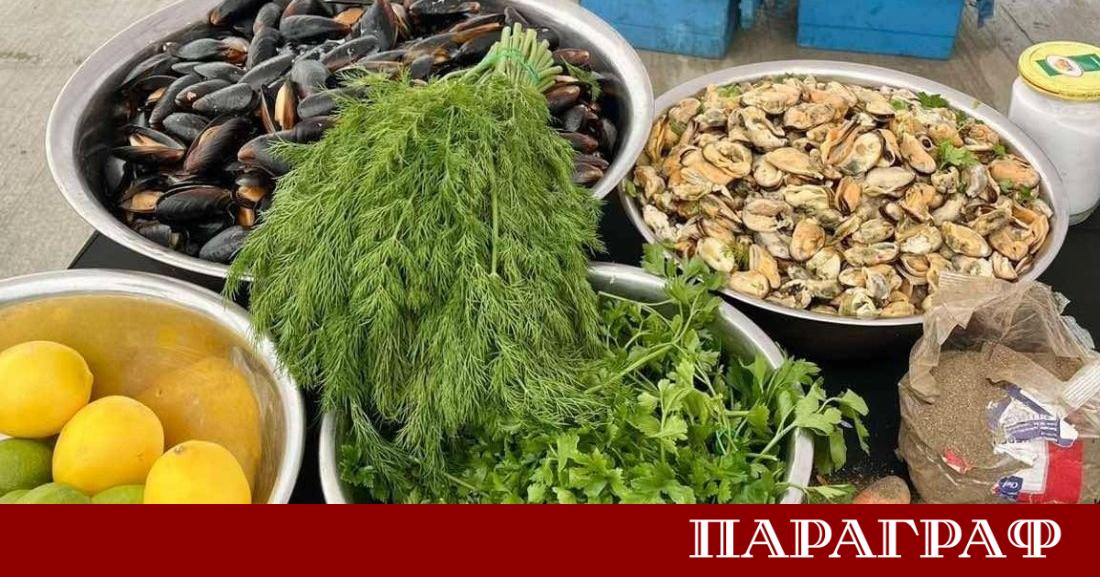 Националният рибен фестивал се проведе в Бургас в района на