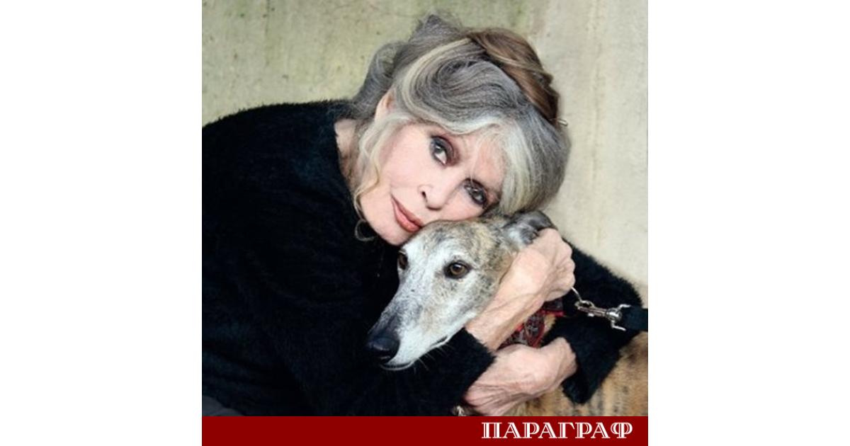 Френската кинозвезда и активист за правата на животните Бриджит Бардо