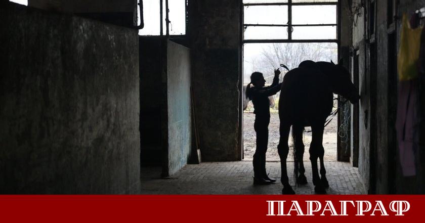 След две десетилетия в служба на държавата единадесет полицейски коня