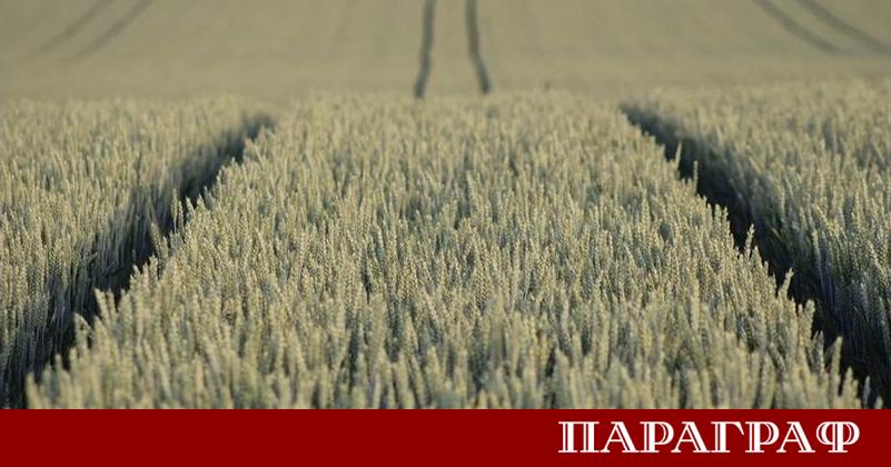 Гръцки земеделски производители отново блокираха митническия пункт Евзони Протестът засяга