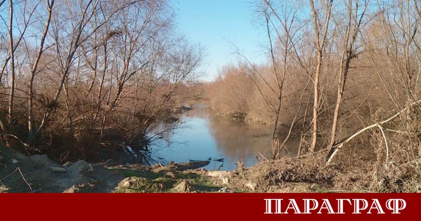 Обрасли брегове наноси и паднали дървета застрашават нормалната проводимост на