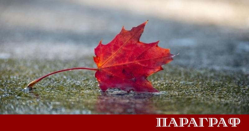 Предстоящата седмица и началото на декември 2025 година ще бъдат