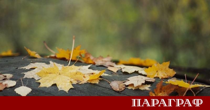 Предстоящият студентски празник 8 декември ще премине под знака на