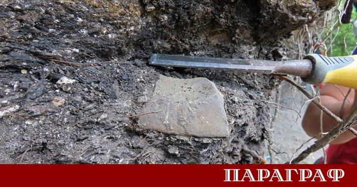 Франция официално върна на Монголия 29 комплекта вкаменелости на динозаври