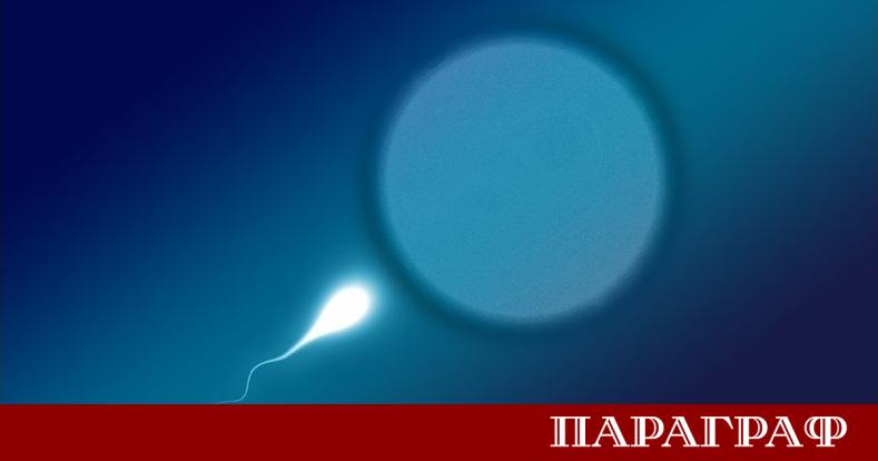 Разследване на Би Би Си разкри шокиращи данни Почти 200