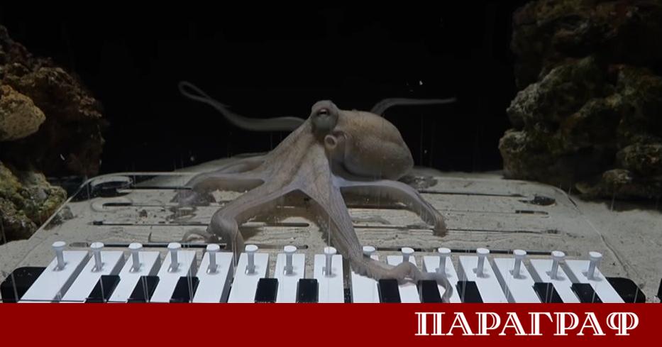 Шведският музикант Матиас Кранц известен с ексцентричните си експерименти постигна