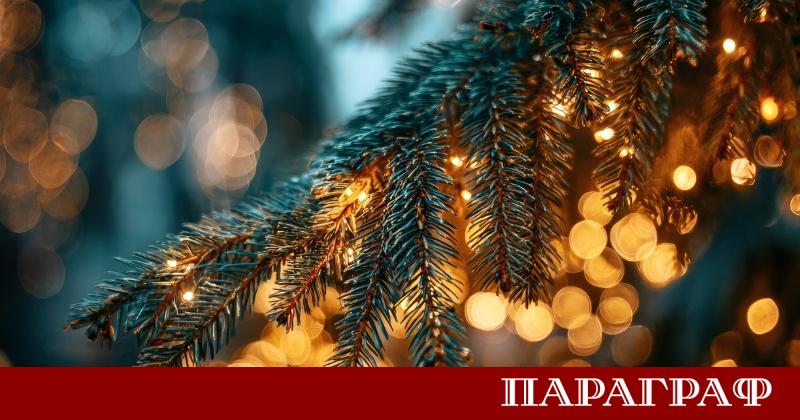 Една от коледните елхи украсени от деца в Радомир е