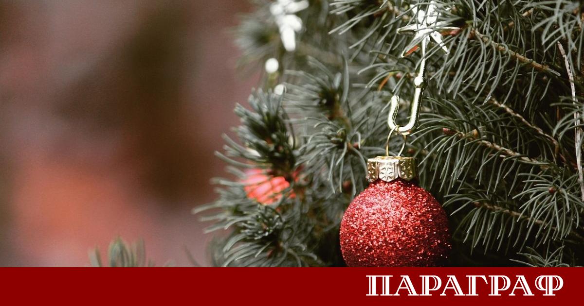 По малко от две седмици преди коледните празници естествените елхи