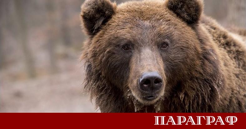 Почти 30 от компаниите в Североизточна Япония съобщават за нарушения