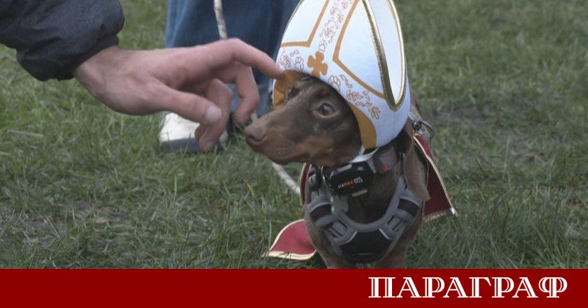 Стотици дакели в празнични костюми огласиха лондонския Хайд Парк за