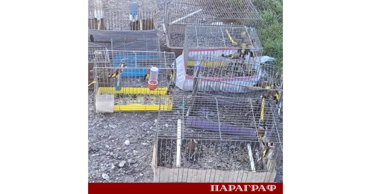 Експерти на Регионалната инспекция по околната среда и водите РИОСВ