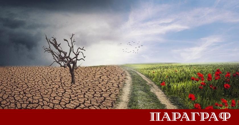 Изкуственият интелект ИИ навлиза все по дълбоко в ежедневието ни