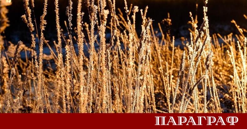 На 16 декември България ще се радва на тих и