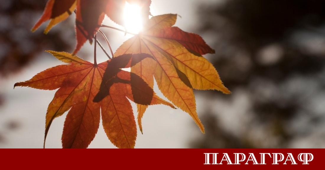 Предстои по топла седмица с предимно слънчево време Сутрините ще