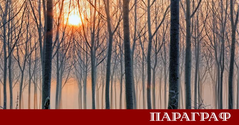 България предстоят дни с променливо време Очаква се комбинация от