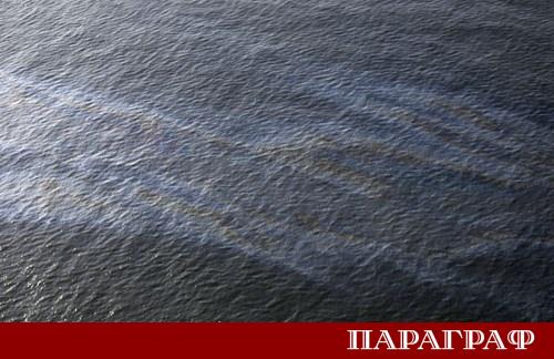 Неочаквано сътрудничество беше наблюдавано във водите на Британска Колумбия Канада