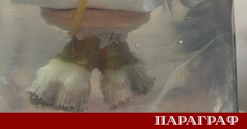 Митнически служители на ГКПП Капитан Андреево пресякоха опит за контрабанда