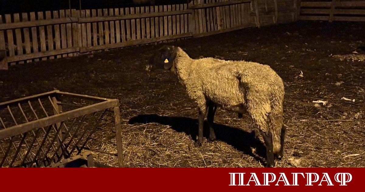 Средната производствена цена на селскостопанските продукти в Европейския съюз е