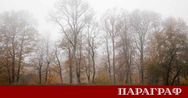 Петък ще започне с мъгли и ниска облачност в по