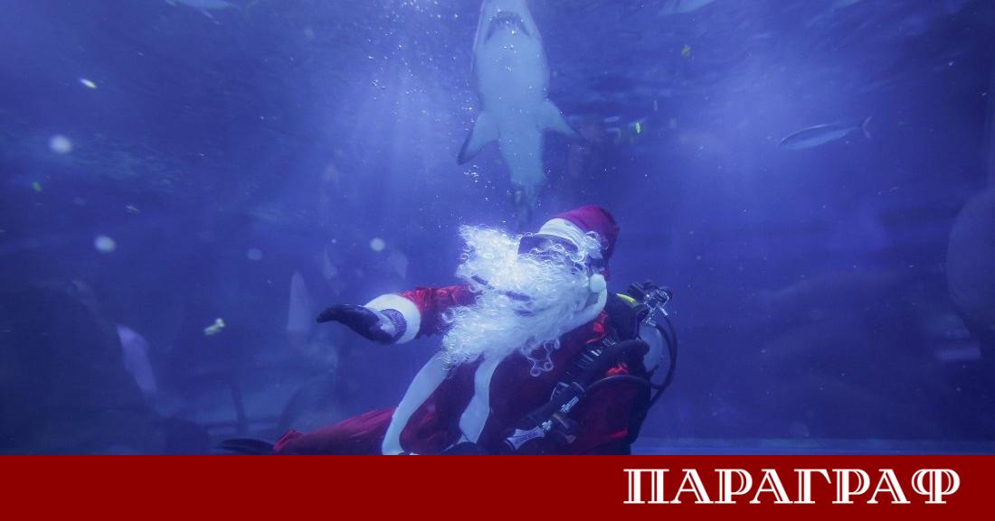 Необичайно коледно събитие развълнува посетителите в Рио де Жанейро Дядо