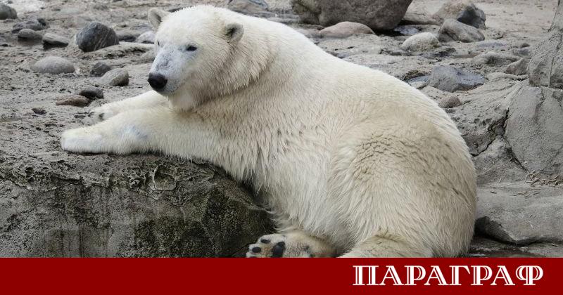 Учени в северна Канада станаха свидетели на изключително рядко събитие