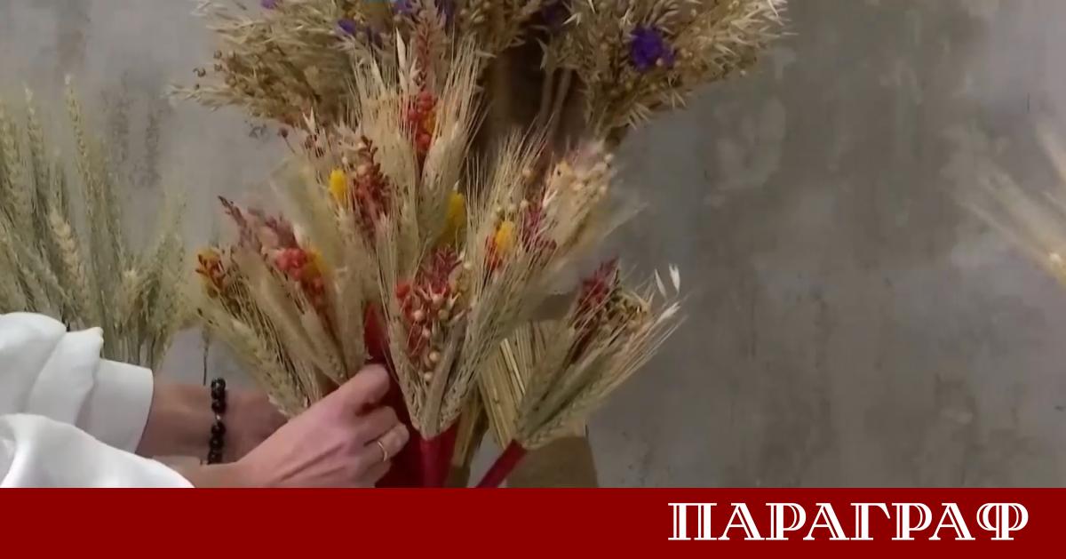 В сърцето на Лвов коледни светлини озаряват площада пред операта