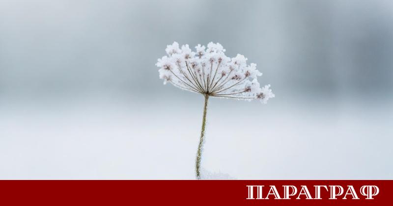 Днес 21 декември в 17 03 ч българско време настъпва