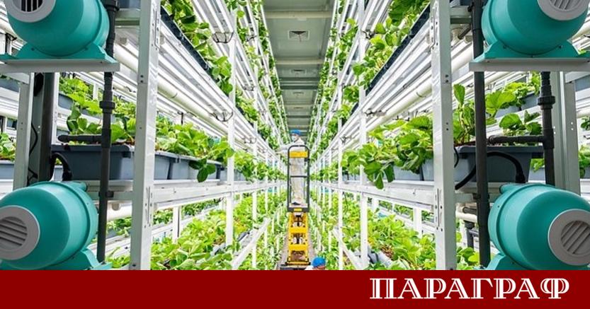 Развитието на интелигентното земеделие в Китай бележи значително ускорение през