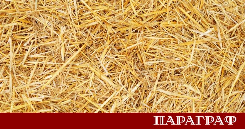 На фона на продължаващите руски удари по енергийната инфраструктура училища