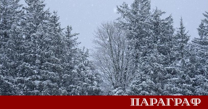 Планинската спасителна служба ПСС към Българския Червен кръст съобщи че