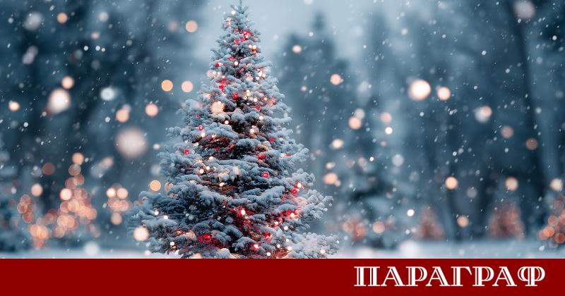 Предстои застудяване и снеговалежи около коледните празници предупреждават синоптиците Въпреки