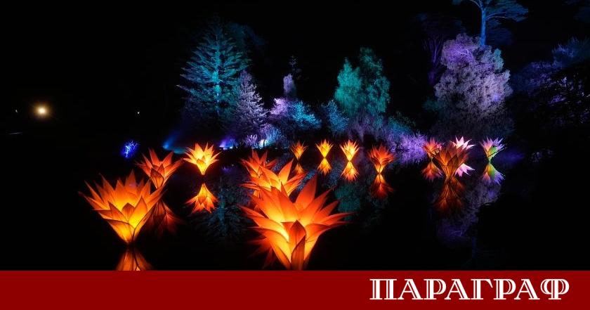 Паркът Голдън Гейт в Сан Франциско е озарен от нова