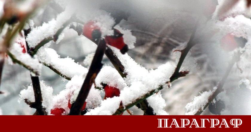 Екипите на Електрохолд продължават усилено да отстраняват повреди възникнали след