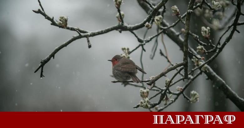 Националният институт по метеорология и хидрология НИМХ издаде оранжев код