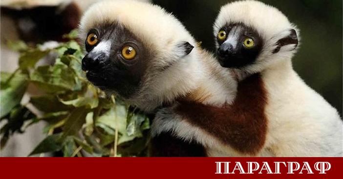 Учените откриват над 16 000 нови растителни и животински вида