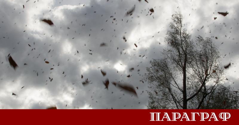 Шест аварийни екипа на Столична община са мобилизирани в София